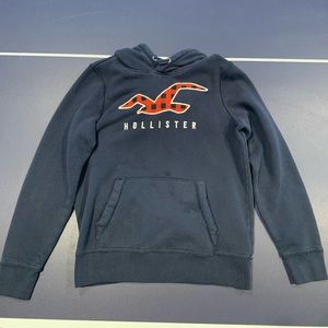 Hollister Hoodie